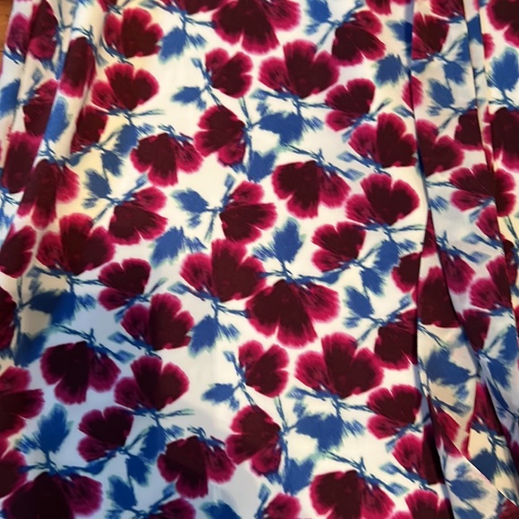 Gorgeous Banaba Republic Dress - Picture 6 of 8